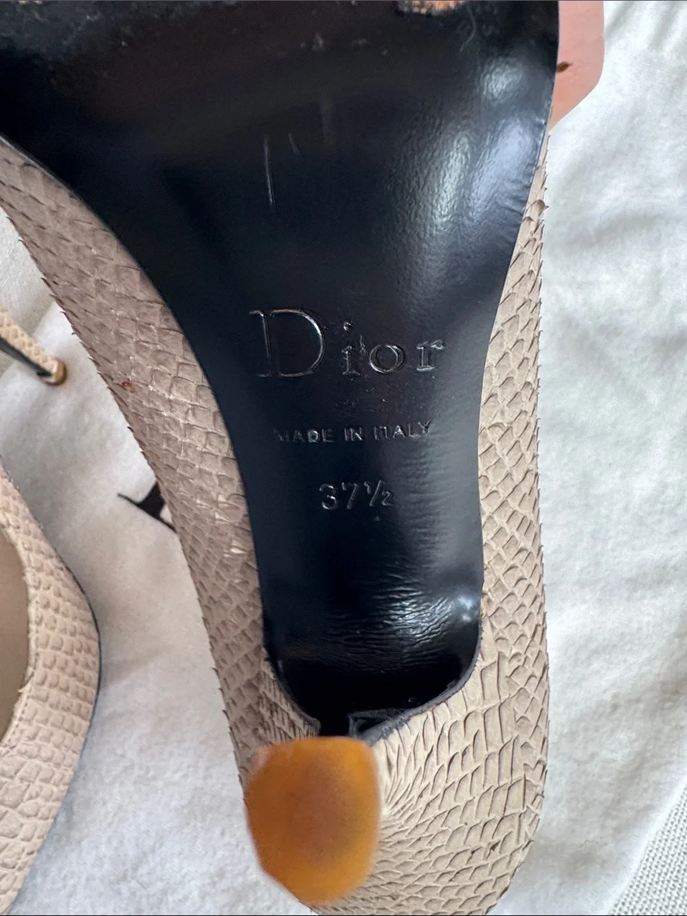 Dior Pointed Toe Pumps in Taupe Scales